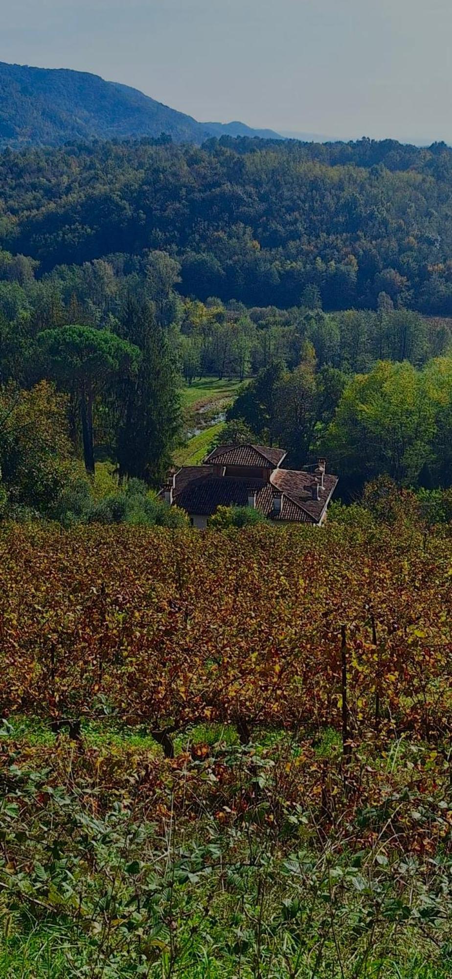 Tenuta Valdomini Attimis Zewnętrze zdjęcie