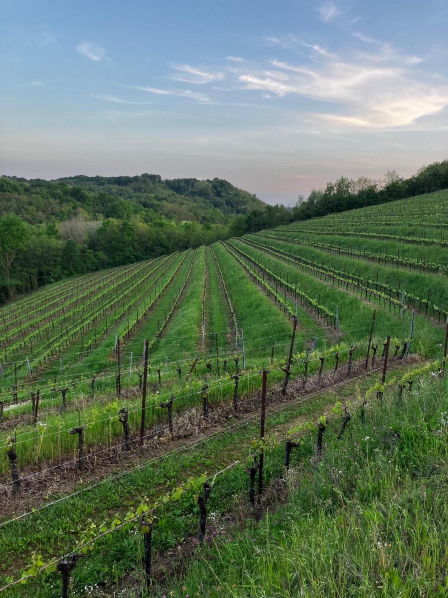 Tenuta Valdomini Attimis Zewnętrze zdjęcie