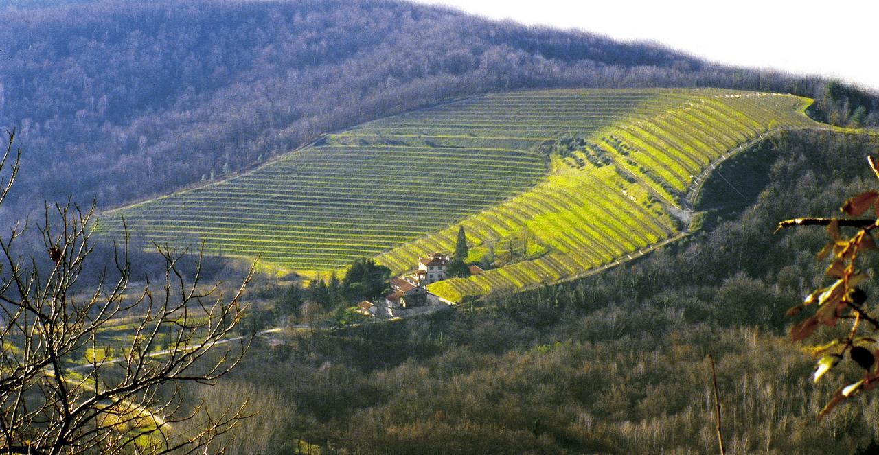 Tenuta Valdomini Attimis Zewnętrze zdjęcie