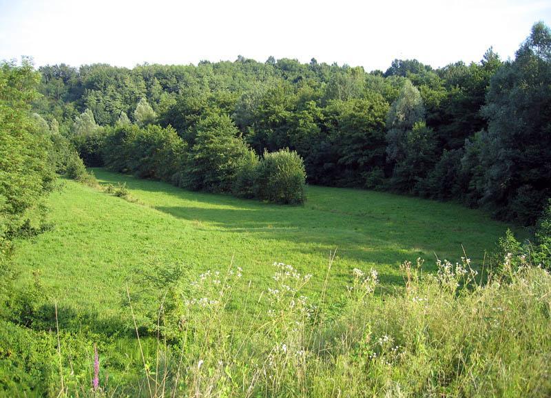 Tenuta Valdomini Attimis Zewnętrze zdjęcie